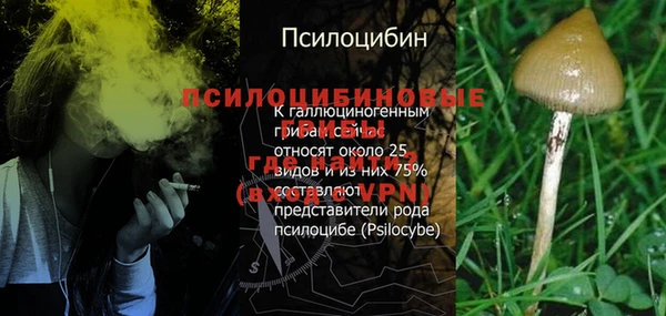 синтетический гашиш Верхний Тагил