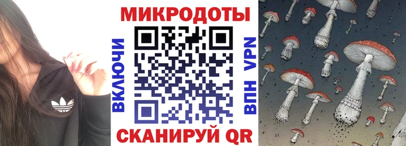Галлюциногенные грибы Psilocybe Купить Южа
